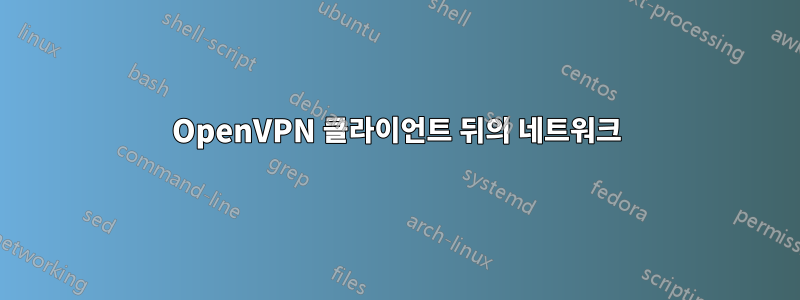 OpenVPN 클라이언트 뒤의 네트워크