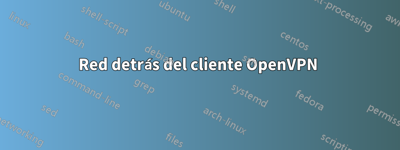 Red detrás del cliente OpenVPN