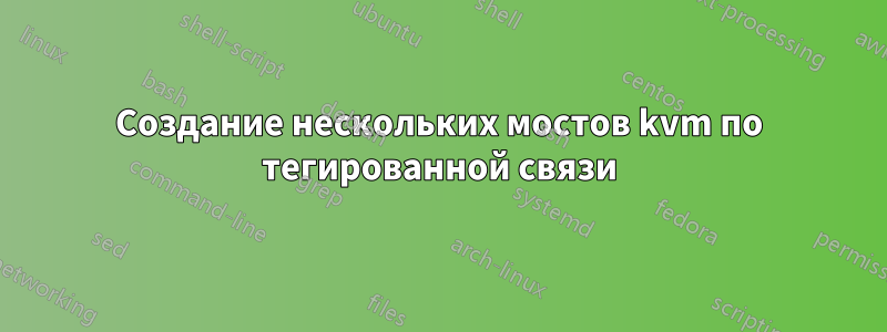 Создание нескольких мостов kvm по тегированной связи