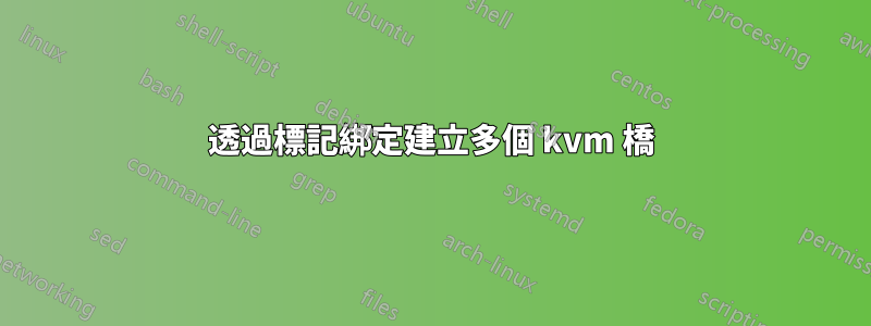 透過標記綁定建立多個 kvm 橋