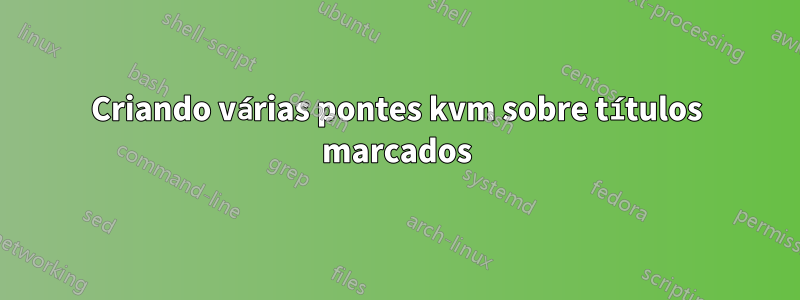 Criando várias pontes kvm sobre títulos marcados