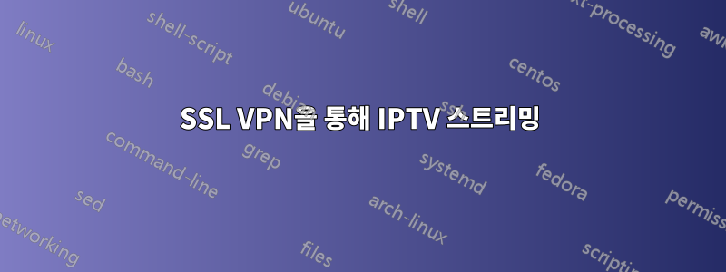 SSL VPN을 통해 IPTV 스트리밍