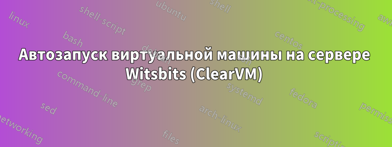 Автозапуск виртуальной машины на сервере Witsbits (ClearVM)