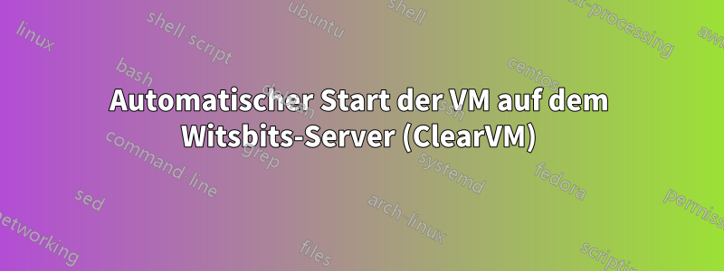 Automatischer Start der VM auf dem Witsbits-Server (ClearVM)