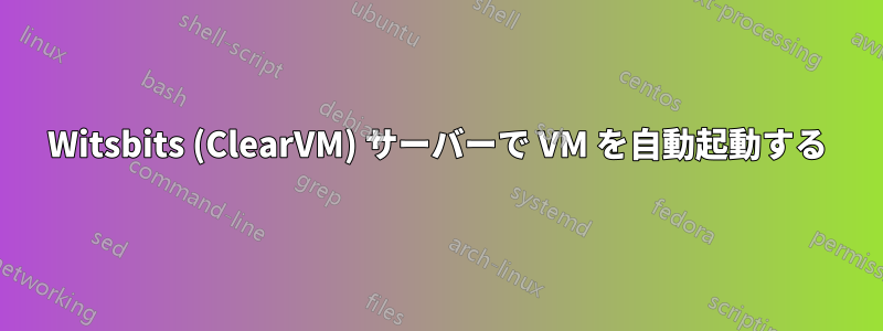 Witsbits (ClearVM) サーバーで VM を自動起動する