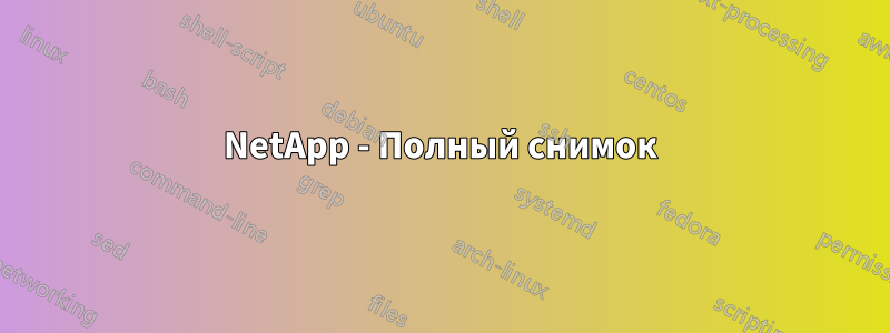 NetApp - Полный снимок