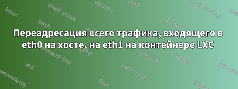 Переадресация всего трафика, входящего в eth0 на хосте, на eth1 на контейнере LXC