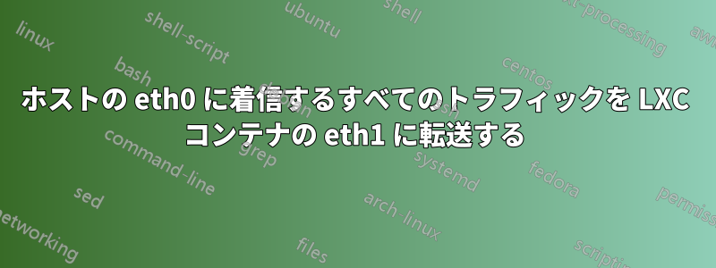 ホストの eth0 に着信するすべてのトラフィックを LXC コンテナの eth1 に転送する