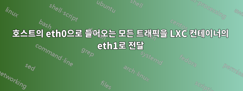 호스트의 eth0으로 들어오는 모든 트래픽을 LXC 컨테이너의 eth1로 전달