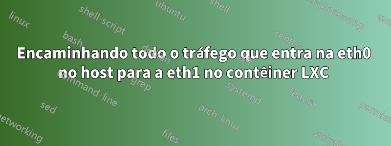 Encaminhando todo o tráfego que entra na eth0 no host para a eth1 no contêiner LXC