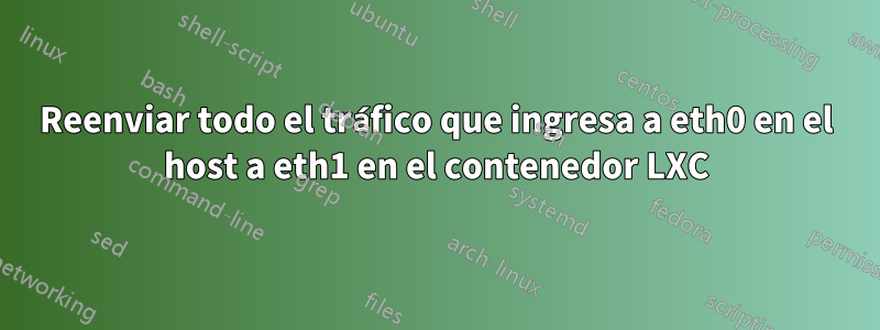 Reenviar todo el tráfico que ingresa a eth0 en el host a eth1 en el contenedor LXC