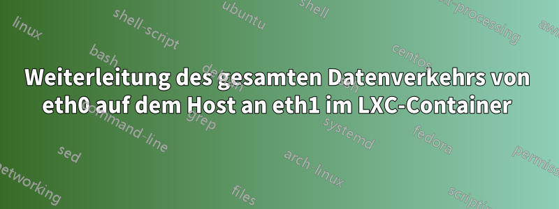 Weiterleitung des gesamten Datenverkehrs von eth0 auf dem Host an eth1 im LXC-Container