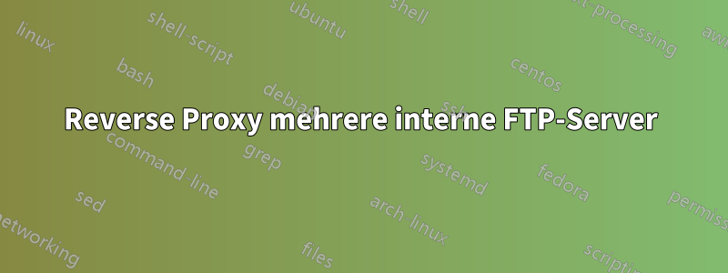 Reverse Proxy mehrere interne FTP-Server