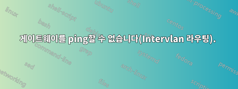 게이트웨이를 ping할 수 없습니다(Intervlan 라우팅).