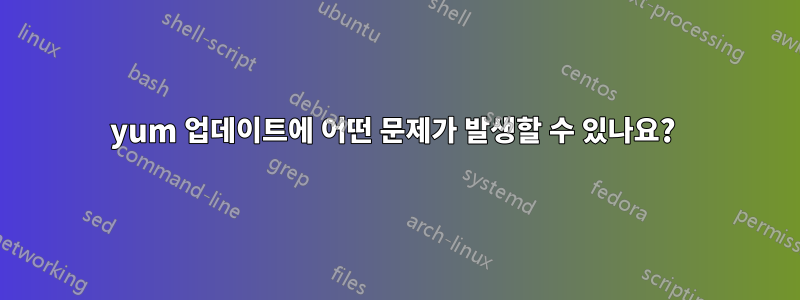 yum 업데이트에 어떤 문제가 발생할 수 있나요? 