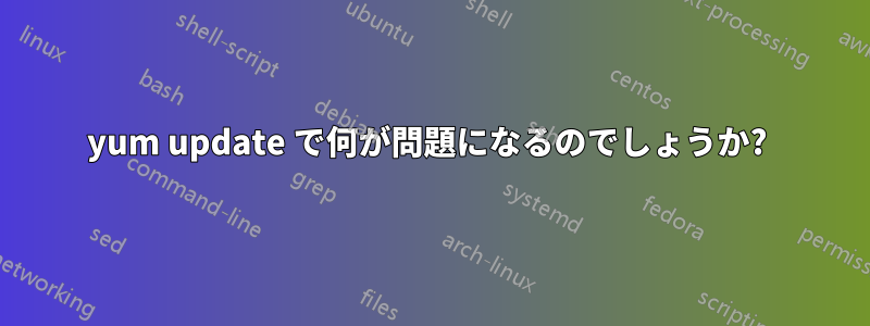 yum update で何が問題になるのでしょうか? 