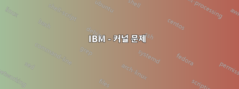 IBM - 커널 문제 
