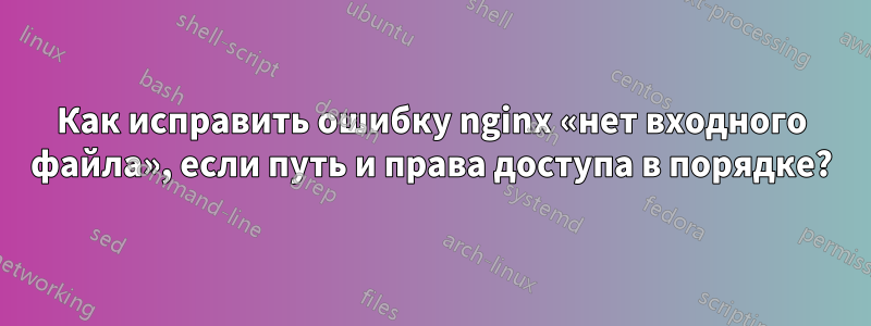 Как исправить ошибку nginx «нет входного файла», если путь и права доступа в порядке?