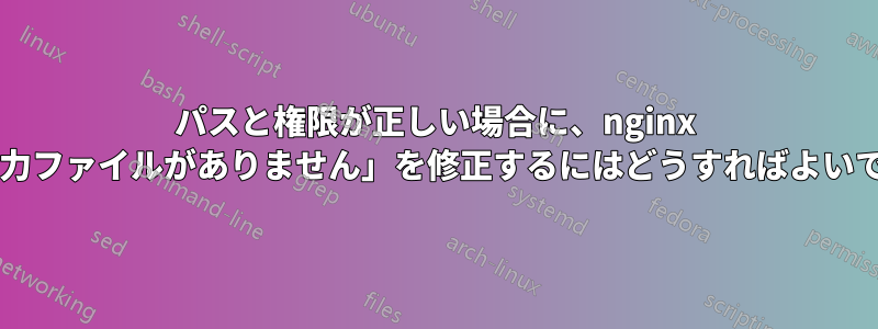 パスと権限が正しい場合に、nginx の「入力ファイルがありません」を修正するにはどうすればよいですか?