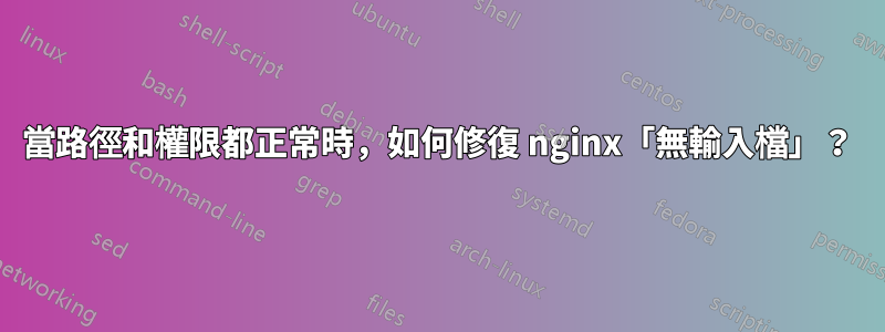 當路徑和權限都正常時，如何修復 nginx「無輸入檔」？