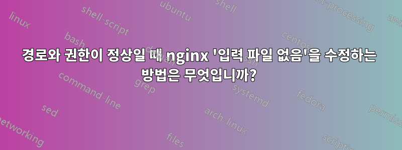 경로와 권한이 정상일 때 nginx '입력 파일 없음'을 수정하는 방법은 무엇입니까?