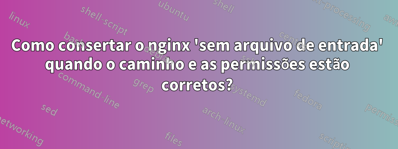Como consertar o nginx 'sem arquivo de entrada' quando o caminho e as permissões estão corretos?