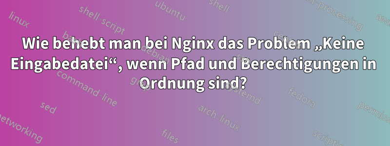 Wie behebt man bei Nginx das Problem „Keine Eingabedatei“, wenn Pfad und Berechtigungen in Ordnung sind?