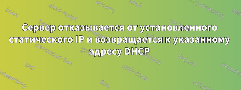 Сервер отказывается от установленного статического IP и возвращается к указанному адресу DHCP
