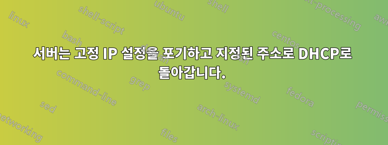 서버는 고정 IP 설정을 포기하고 지정된 주소로 DHCP로 돌아갑니다.