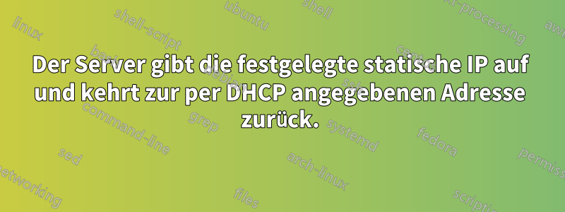 Der Server gibt die festgelegte statische IP auf und kehrt zur per DHCP angegebenen Adresse zurück.