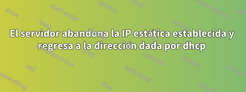 El servidor abandona la IP estática establecida y regresa a la dirección dada por dhcp