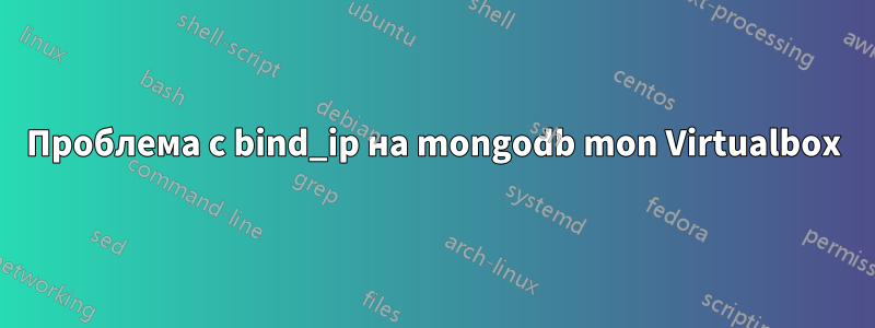 Проблема с bind_ip на mongodb mon Virtualbox