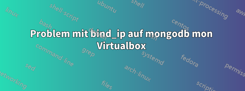 Problem mit bind_ip auf mongodb mon Virtualbox