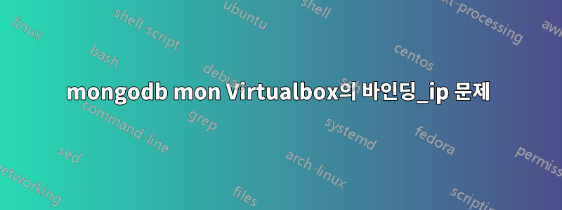 mongodb mon Virtualbox의 바인딩_ip 문제