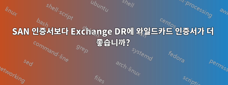 SAN 인증서보다 Exchange DR에 와일드카드 인증서가 더 좋습니까?