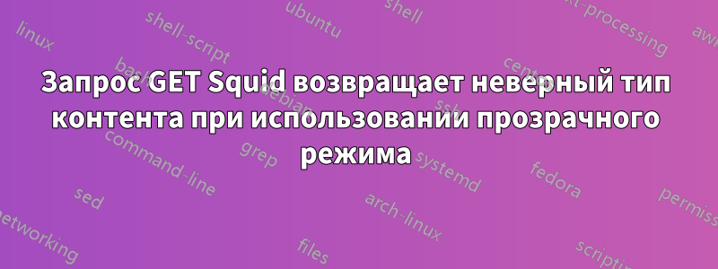 Запрос GET Squid возвращает неверный тип контента при использовании прозрачного режима