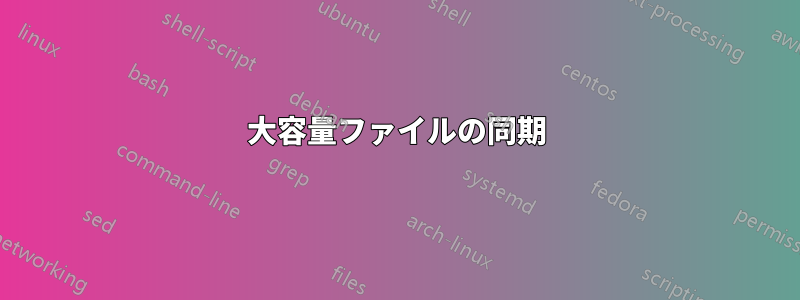 大容量ファイルの同期
