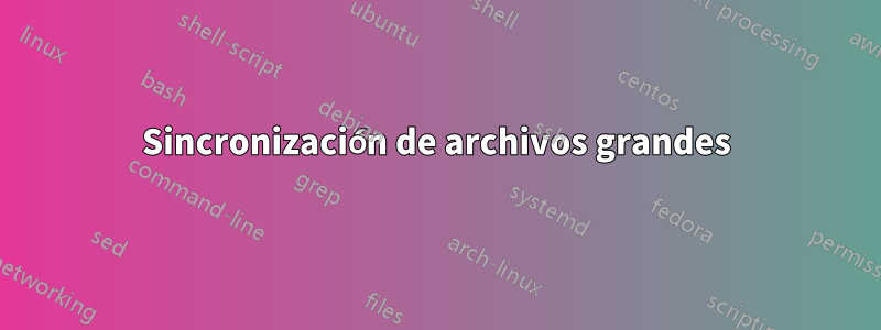 Sincronización de archivos grandes