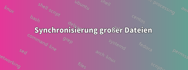 Synchronisierung großer Dateien