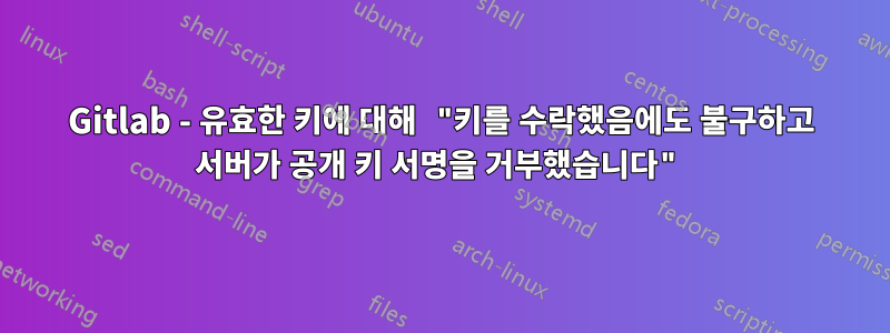 Gitlab - 유효한 키에 대해 "키를 수락했음에도 불구하고 서버가 공개 키 서명을 거부했습니다"