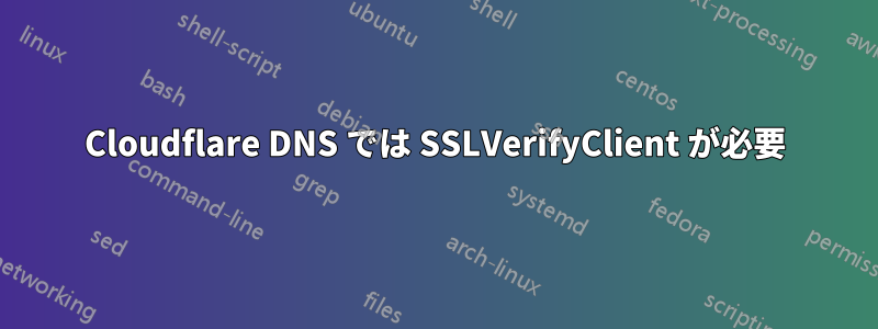 Cloudflare DNS では SSLVerifyClient が必要