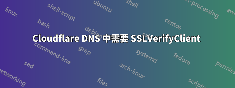 Cloudflare DNS 中需要 SSLVerifyClient