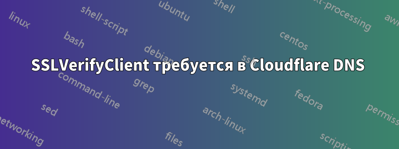 SSLVerifyClient требуется в Cloudflare DNS