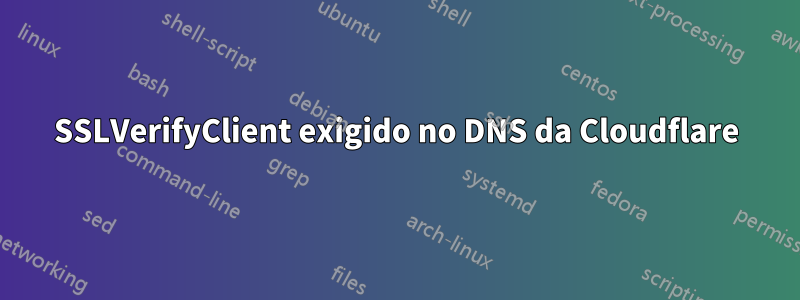 SSLVerifyClient exigido no DNS da Cloudflare