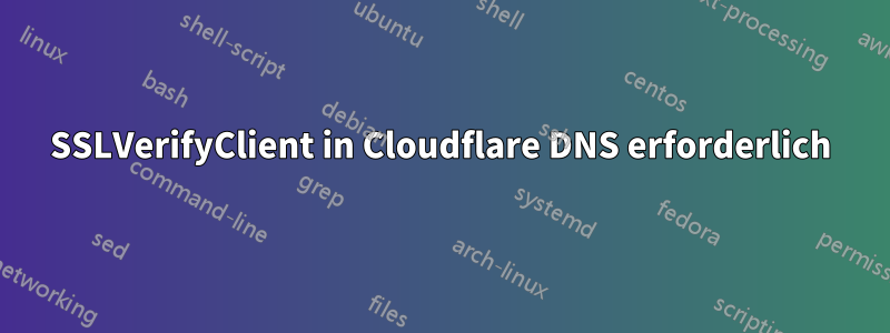 SSLVerifyClient in Cloudflare DNS erforderlich