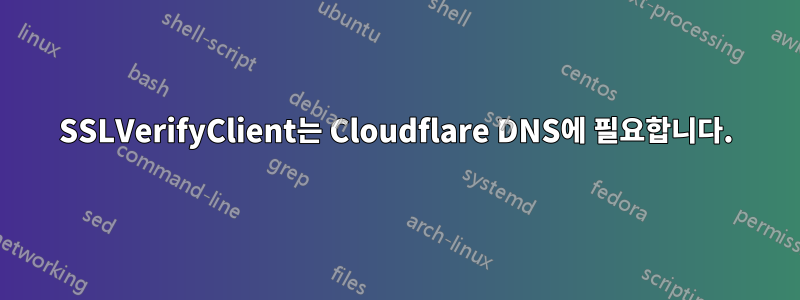 SSLVerifyClient는 Cloudflare DNS에 필요합니다.