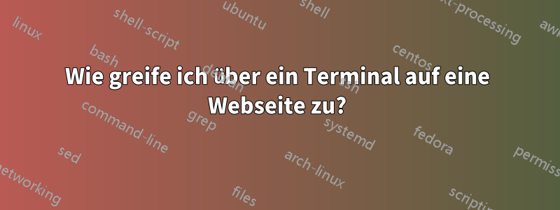 Wie greife ich über ein Terminal auf eine Webseite zu?