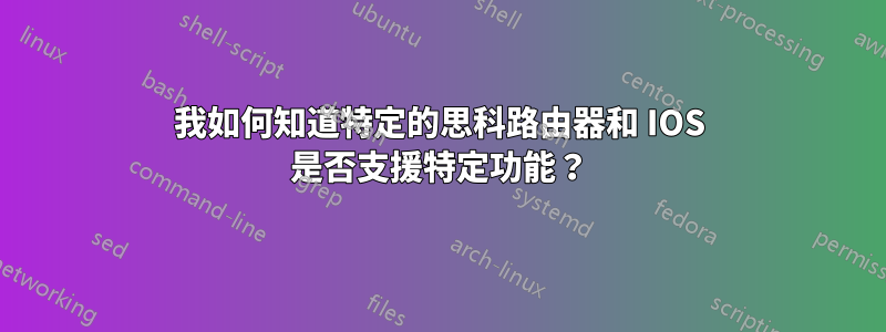 我如何知道特定的思科路由器和 IOS 是否支援特定功能？