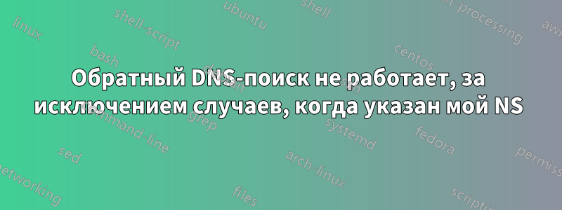 Обратный DNS-поиск не работает, за исключением случаев, когда указан мой NS