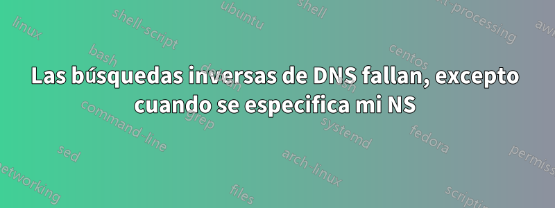 Las búsquedas inversas de DNS fallan, excepto cuando se especifica mi NS